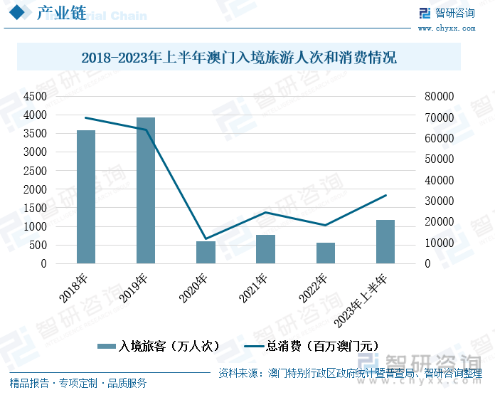 澳门王中王100%的资料2025年,精选解析与未来展望