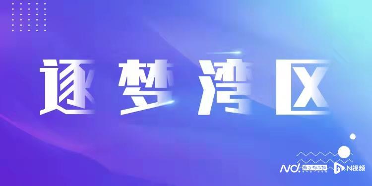 2025新澳门和香港正版免费资本车,精选解释落实展望